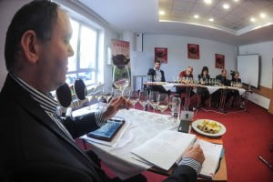 VinVest - 7