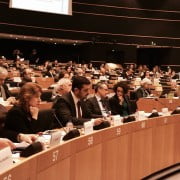 Sustinerea discursului meu din Parlamentul European cu privire la Acordul de Parteneriat 2014-2020 între România și Uniunea Europeană, martie 2014