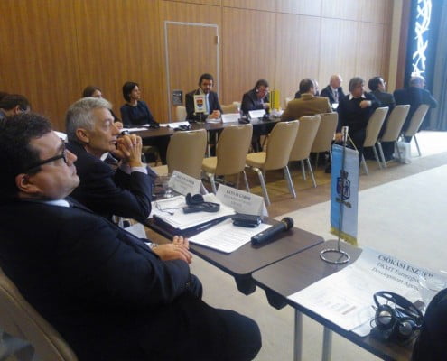 Sedinta AGA a euroregiunii DKMT (Dunare-Kris-Tisa-Mures), 2013 3