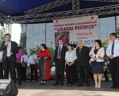 Festivalul Laleaua Pestrita, 2015 1